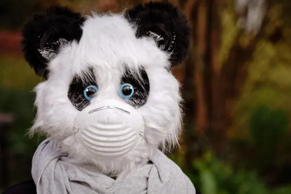 Casino Cyber Bingo Soporte